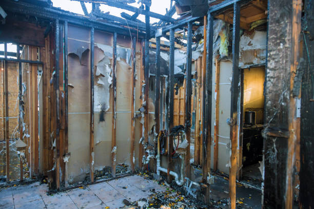 Professional Fire Damage Removal technician working in Herndon, VA